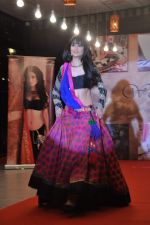 at Neerusha fashion show in Mumbai on 19th Jan 2013 (41).JPG